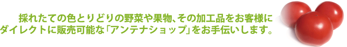 アンテナショップの運営管理